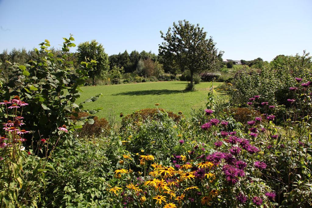 La Citadelle D'Hututu Bed & Breakfast Avesnes-sur-Helpe Bagian luar foto