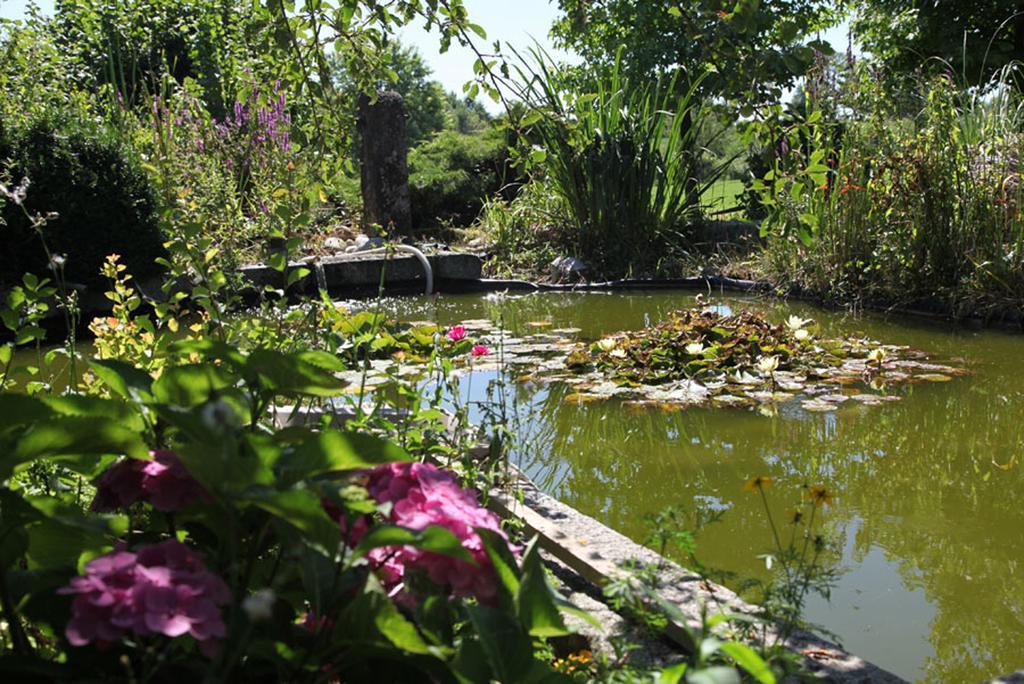 La Citadelle D'Hututu Bed & Breakfast Avesnes-sur-Helpe Bagian luar foto